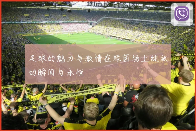 足球的魅力与激情在绿茵场上绽放的瞬间与永恒