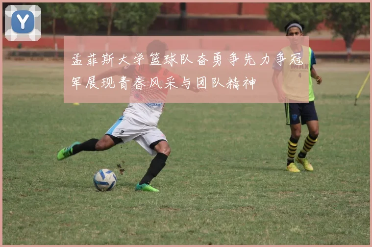 孟菲斯大学篮球队奋勇争先力争冠军展现青春风采与团队精神