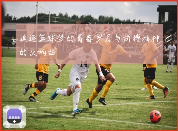 追逐篮球梦的青春岁月与拼搏精神的交响曲