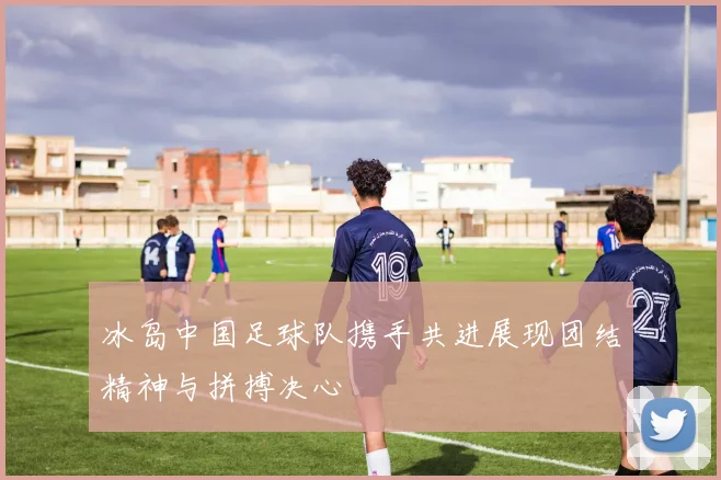 冰岛中国足球队携手共进展现团结精神与拼搏决心