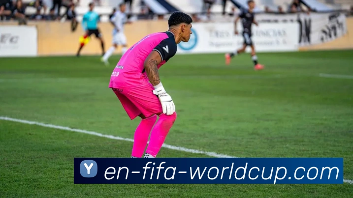 2026世界杯服务体系